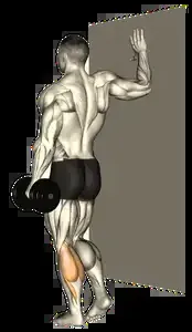 Starting position for the Single-Leg Dumbbell Calf Raise