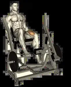 Starting position for the Single-Leg Leg Extension