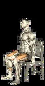 Starting position for the Single-Leg Sit-to-Stand