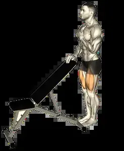 Starting position for the Sissy Squat