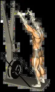 Starting position for the Ski Erg