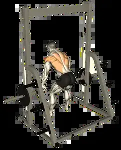 Starting position for the Smith Machine Bent-Over Row