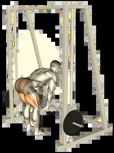 Starting position for the Smith Machine Deadlift