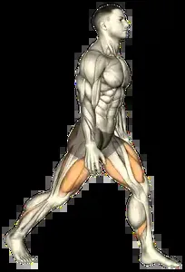 Starting position for the Split Squat