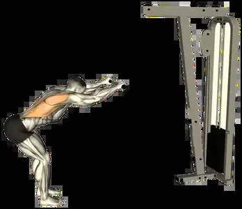 Starting position for the Straight-Arm Cable Pulldown