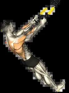 Starting position for the Suspension Trainer High Row