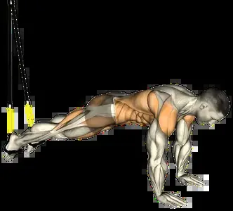 Starting position for the Suspension Trainer Pike