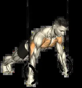 Starting position for the Suspension Trainer Push-Up