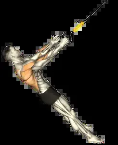 Starting position for the Suspension Trainer Row
