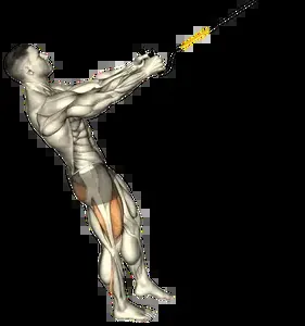 Starting position for the Suspension Trainer Single-Leg Squat