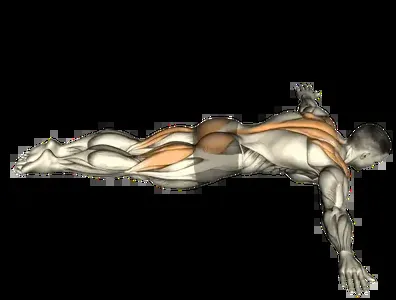 Starting position for the Suspension Trainer T-Raise