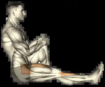 Starting position for the Tibialis Raise
