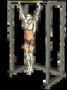 Starting position for the Toes-to-Bar