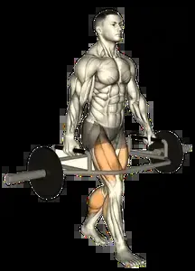 Starting position for the Trap Bar Farmer Carry