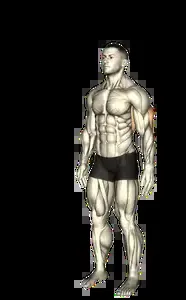 Starting position for the Triceps Stretch