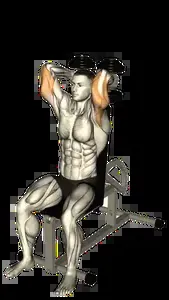 Starting position for the Two-Hand Dumbbell Overhead Triceps Extension