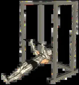 Starting position for the Underhand Inverted Row