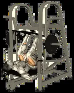 Starting position for the Vertical Leg Press