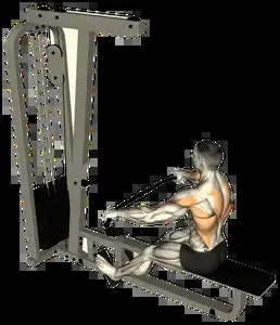 Starting position for the Wide-Grip Cable Seated Row