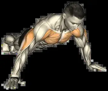 Starting position for the Wide Push-Up